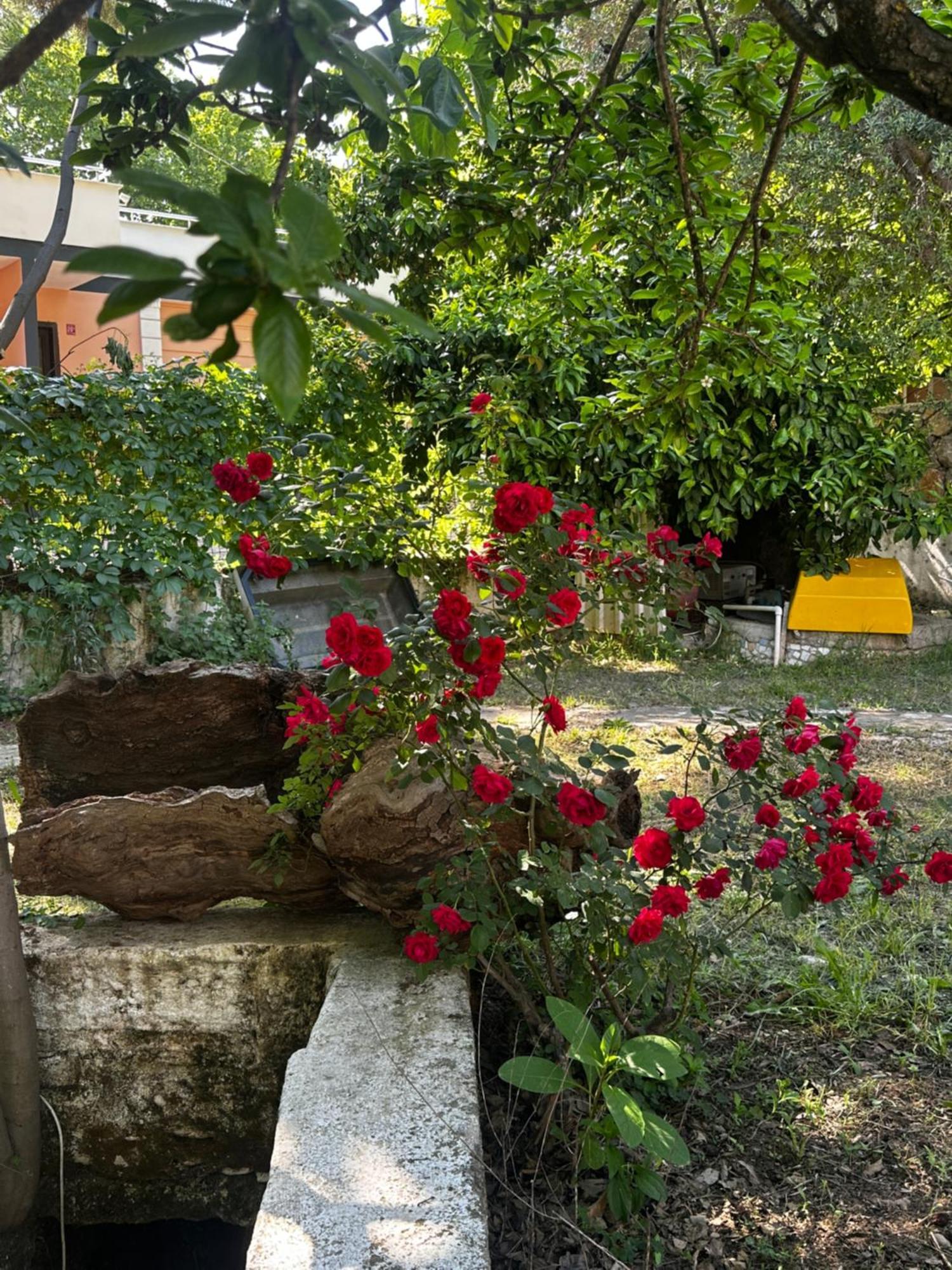 Sakliderebutikotel Edremit  Exteriér fotografie